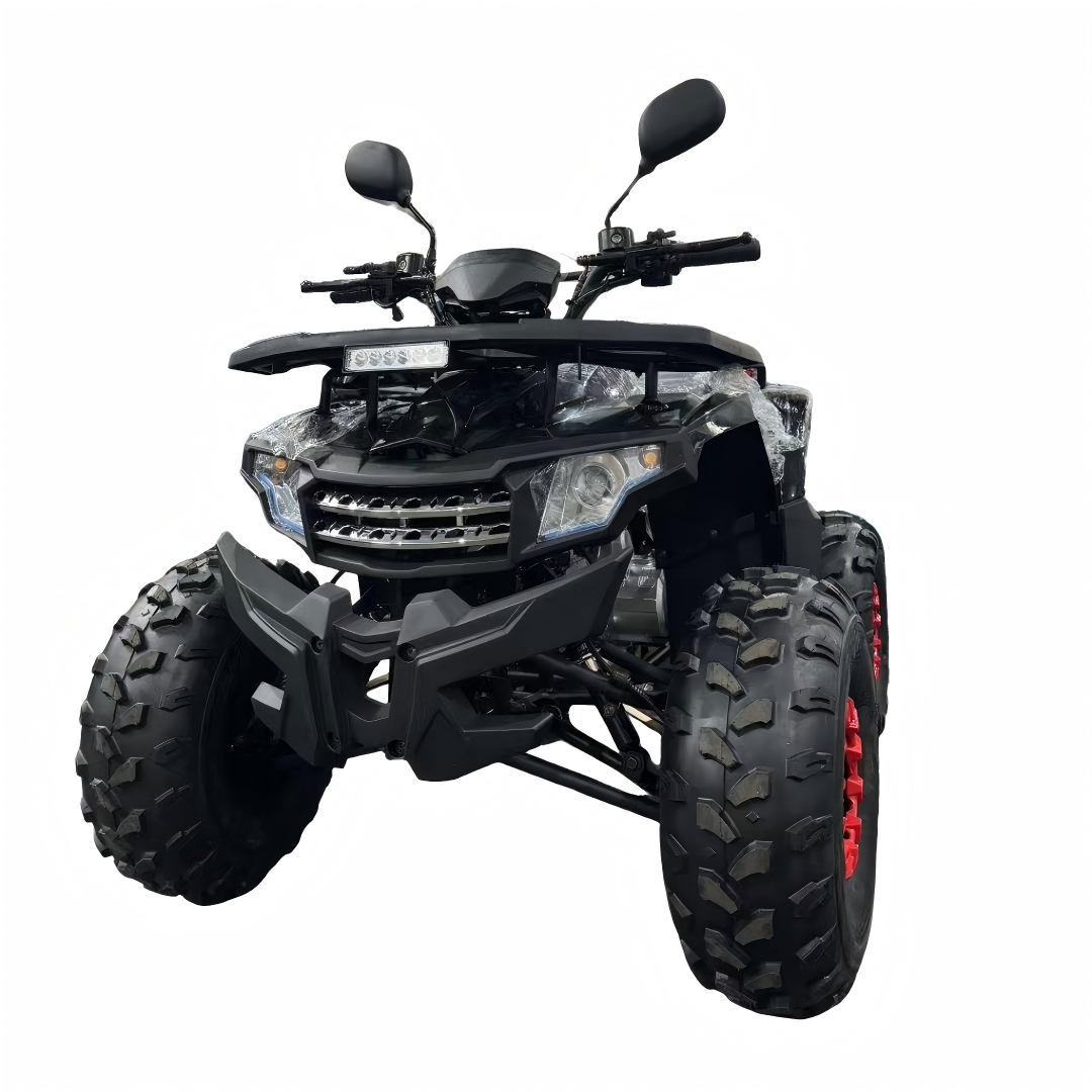 Outdoor Adventure Quad Biking - 2026 Yeni Model 125cc 4 Zamanlı
