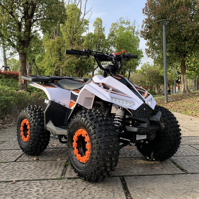 Outdoor Adventure Quad Biking - 125CC ATV, Küçük Falcon Arazi Aracı,