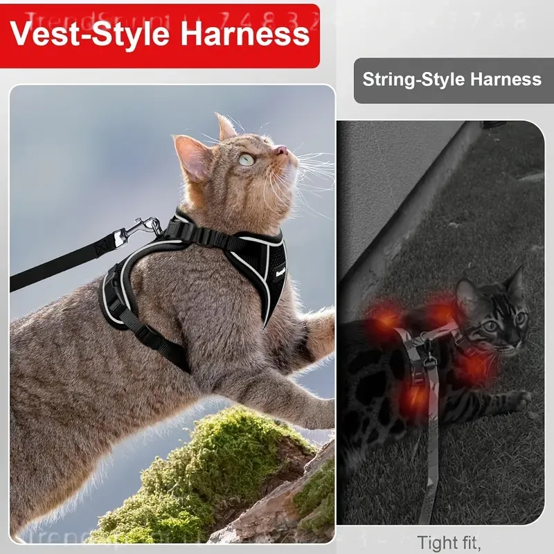 Kedi Göğüs Tasması ve Tasma Se - Outdoor Adventure Kit incelemesi ve fiyatı
